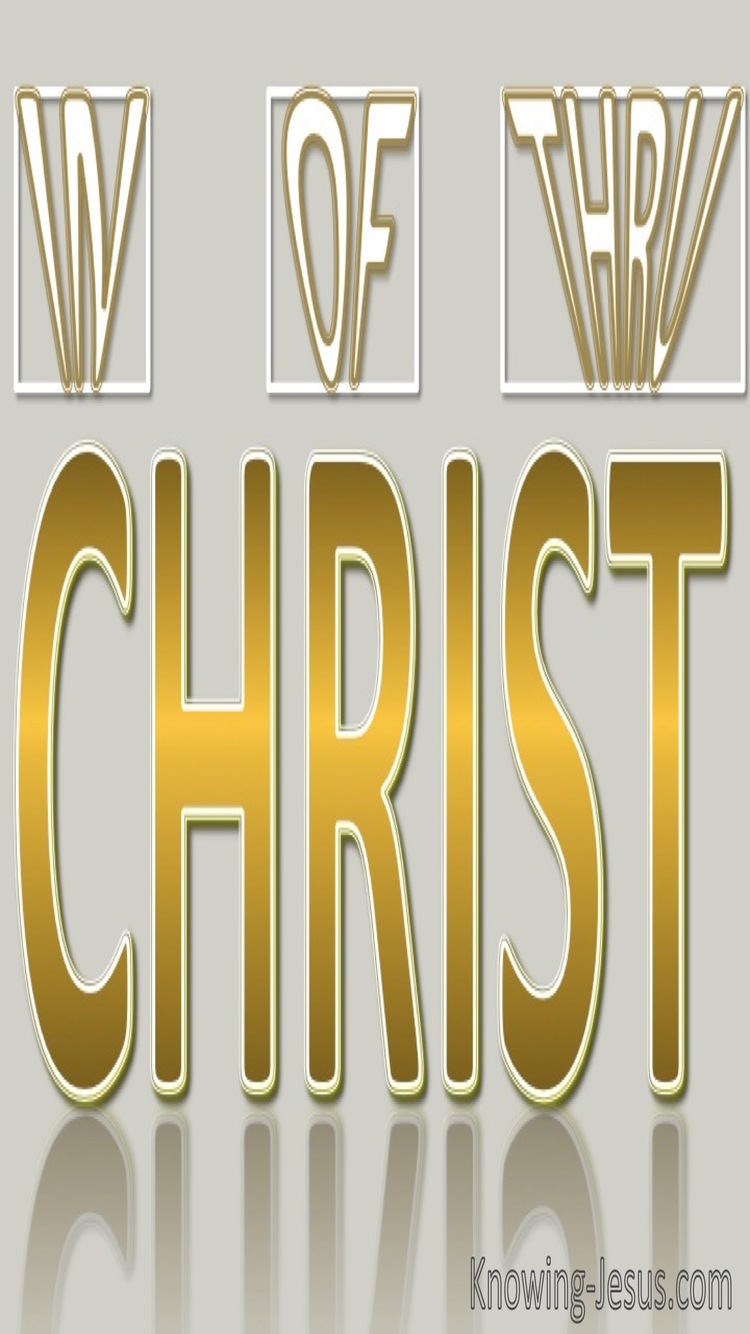 In Of And Thru Christ (devotional) (gold)